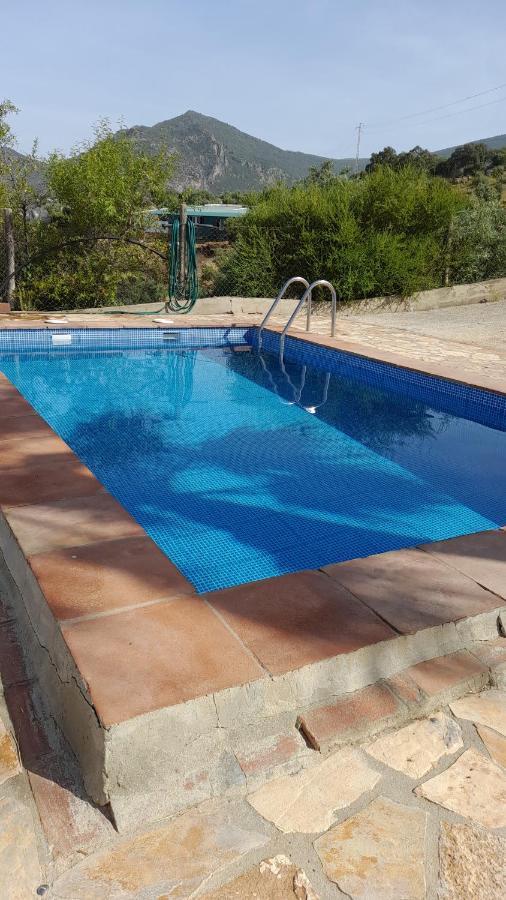 Palmeras - Ein Stück Vom Paradies - Behagliches Haus Mit Pool